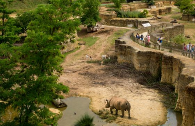 Bioparc  DouélaFontaine Zoo